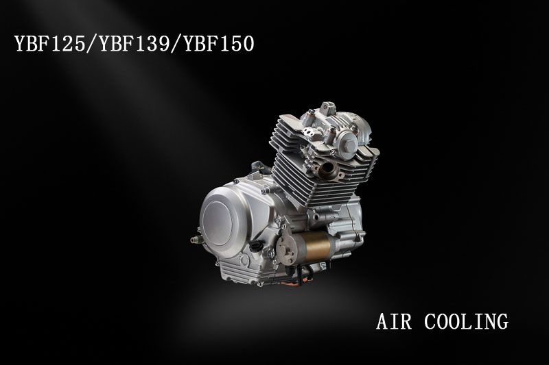 BSYBF125/139/150 Engine