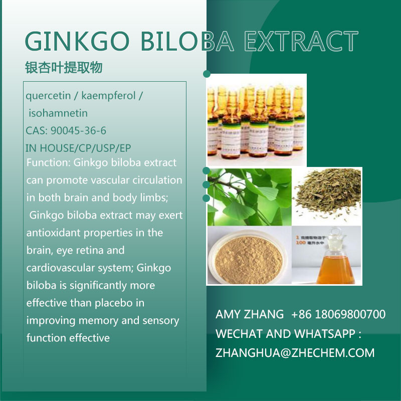 Ginkgo Biloba Extract