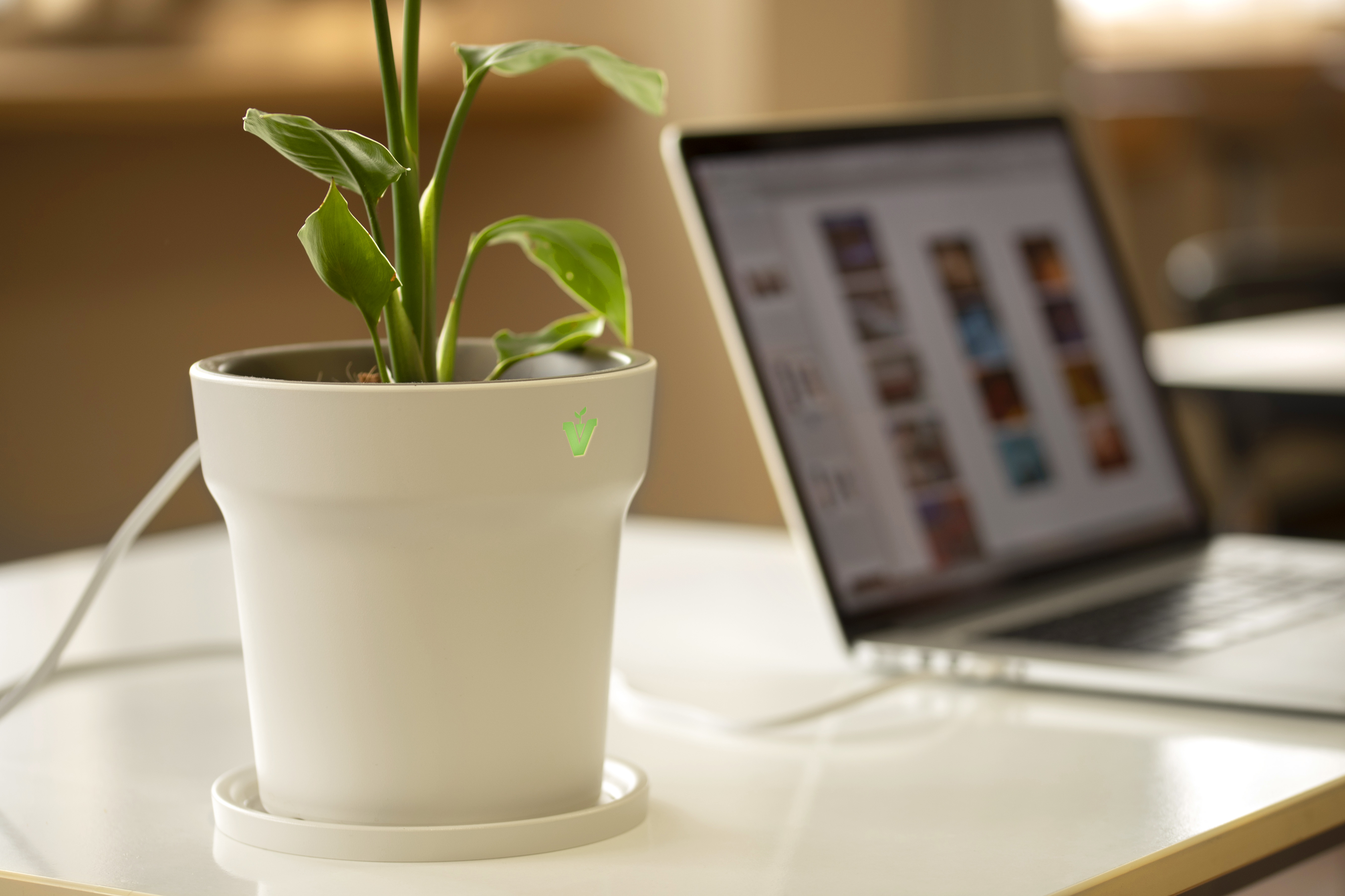 Grow Care Pot