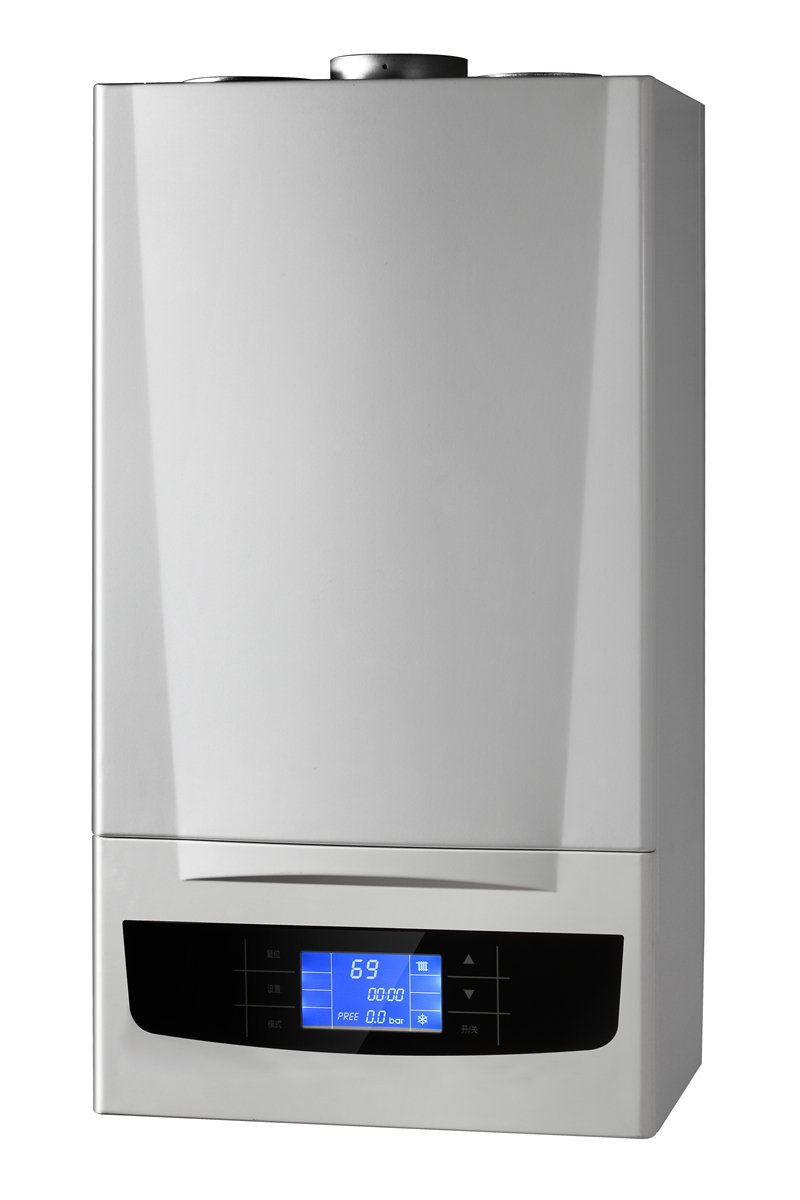Wall mounted gas boiler
