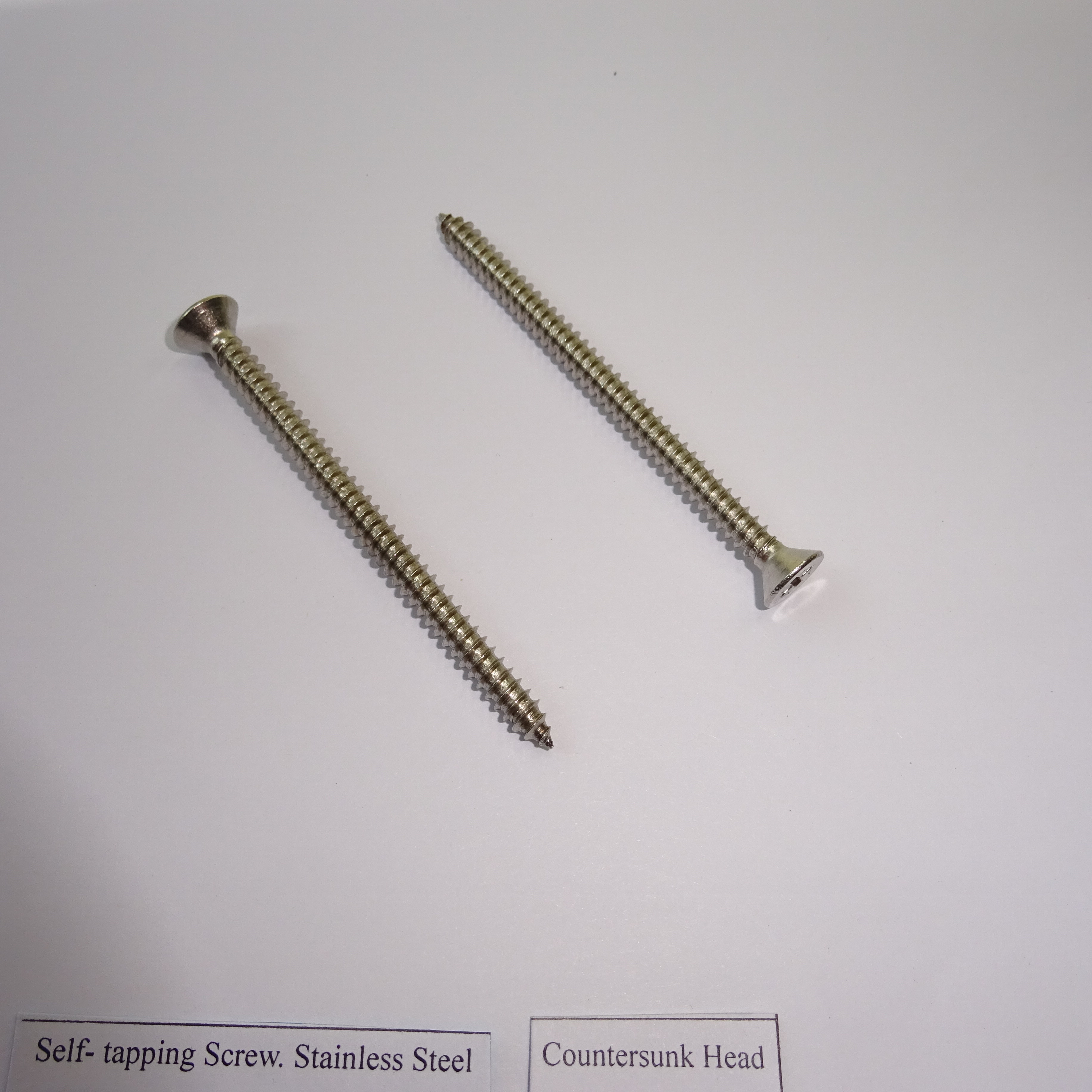 Stainless Steel Self Tapping Screws