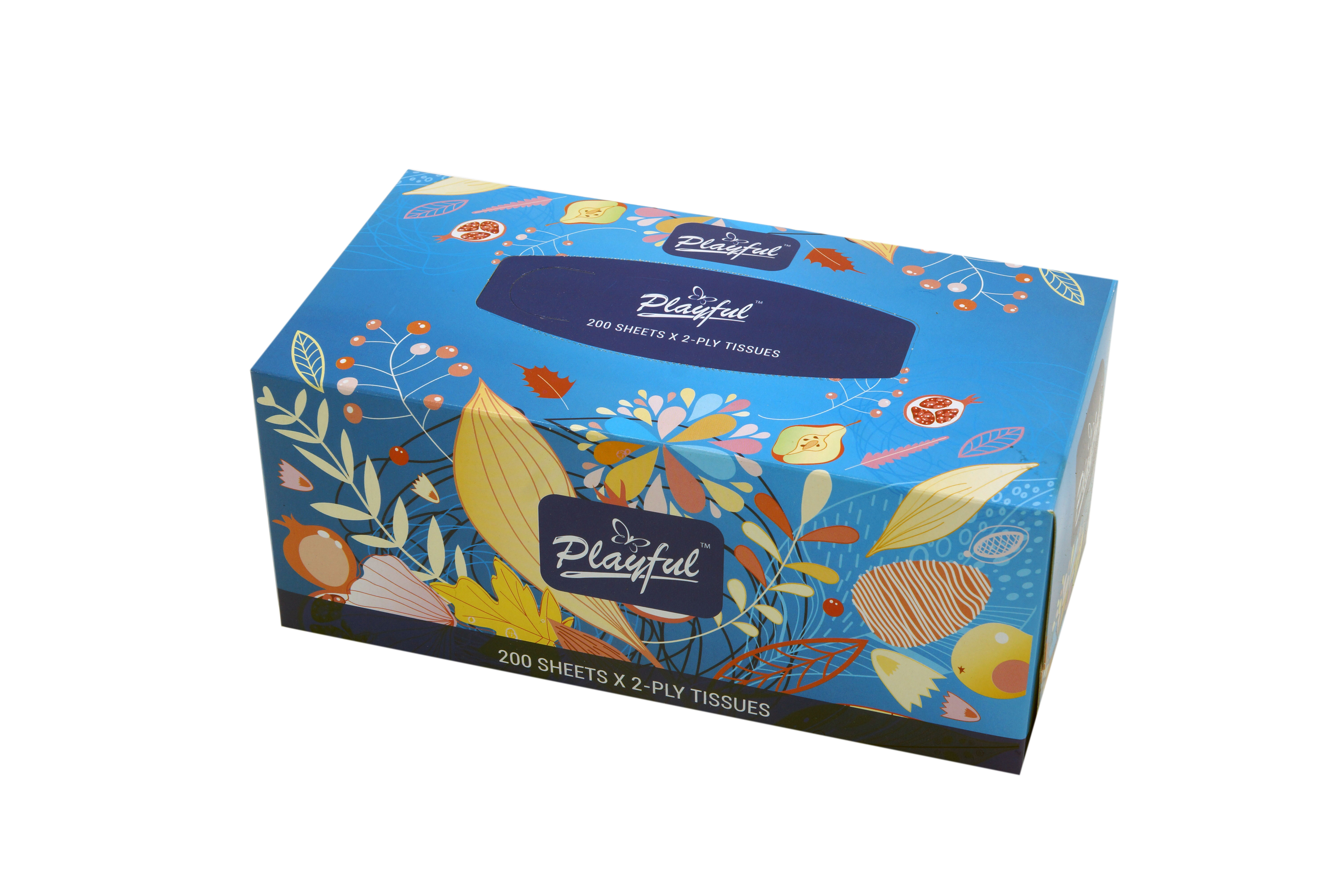 Facial Tissue Box/Bamboo Facial Tissue/Eco-Friendly Tissue/Tissue/Tissues/Bamboo Facial Tissues/Fsc Tissues/Eutr/Unbleached Tissue