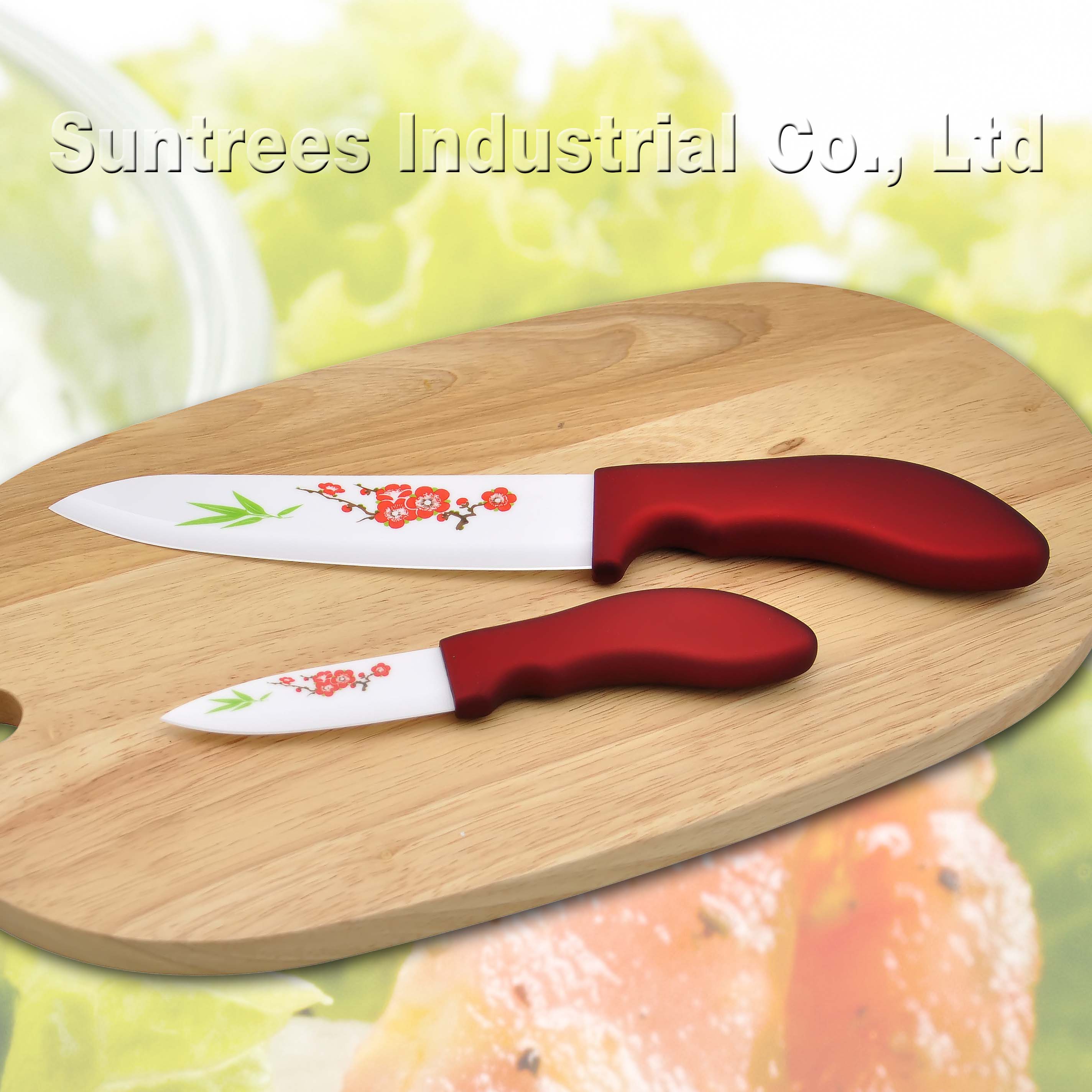 2 pc ceramic kitchen knife set