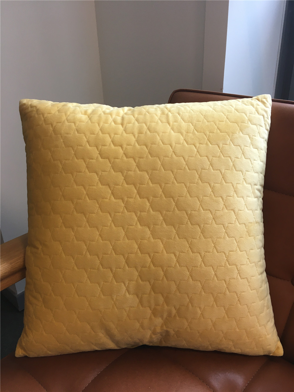 A embossed velvet cushion (pillow)