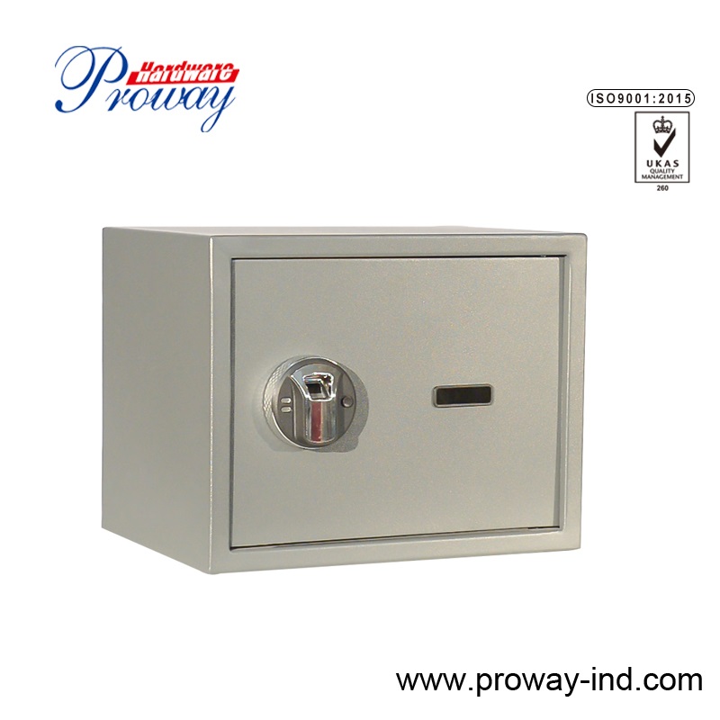fingerprint safe SP-30RGH-T2