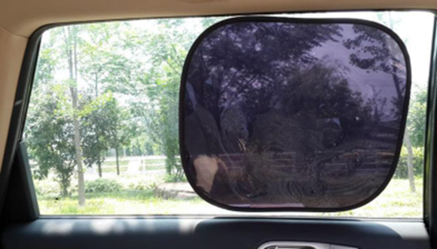 Sun Shade