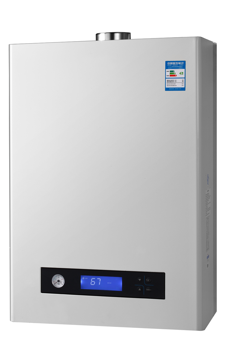 Wall mounted gas boiler
