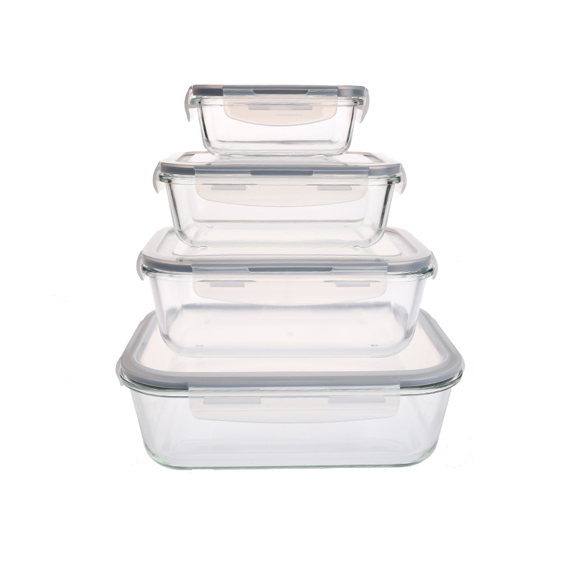 Borosilicate glass food container