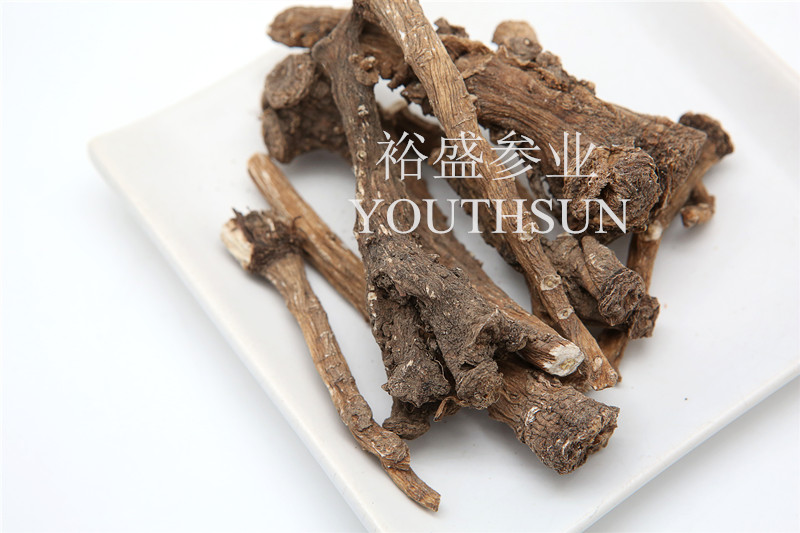 Dandelion Root