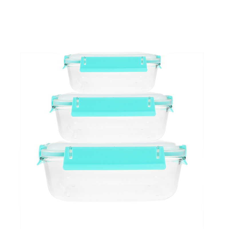 Borosilicate rectangle glass food container