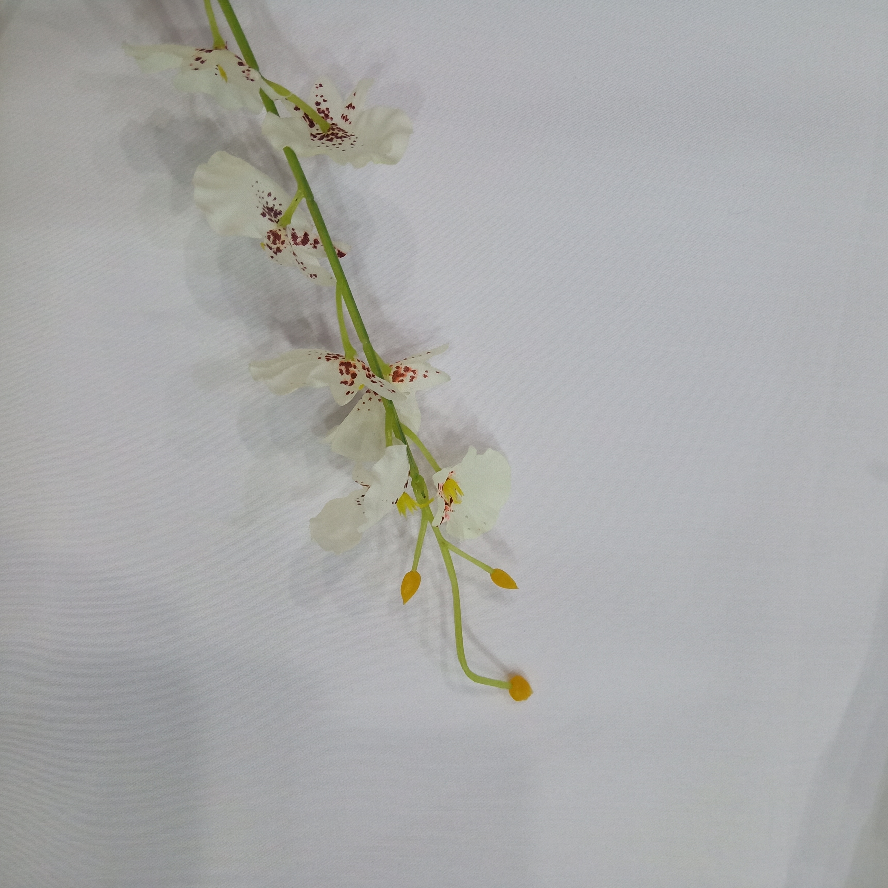 Polyester cotton pocketing Fabric TC65/35 35x150D 76X58