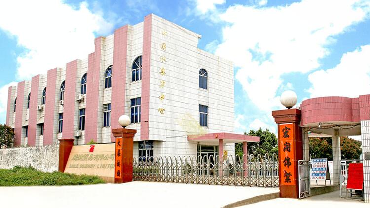 Yangjiang Yingjian Trading Co., Ltd. – Kitchen knives 1