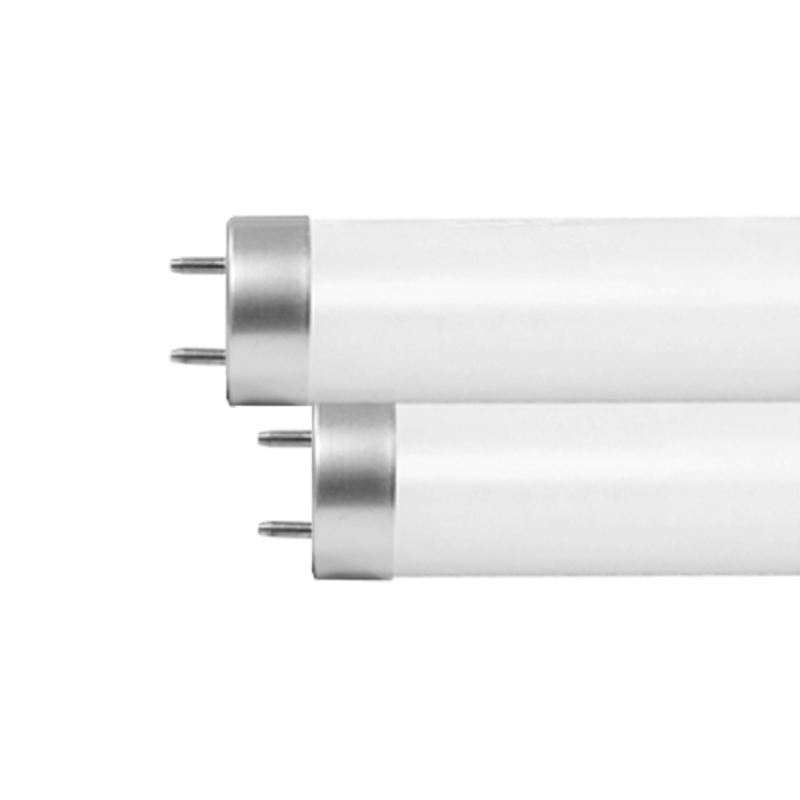 LED T8 Glass Economic Tube