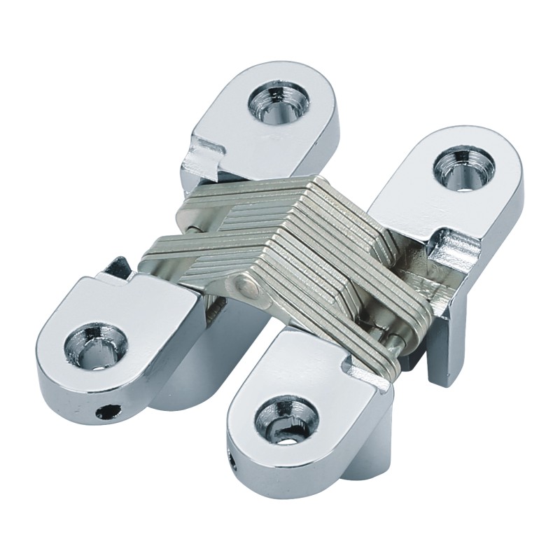 concealed hinge