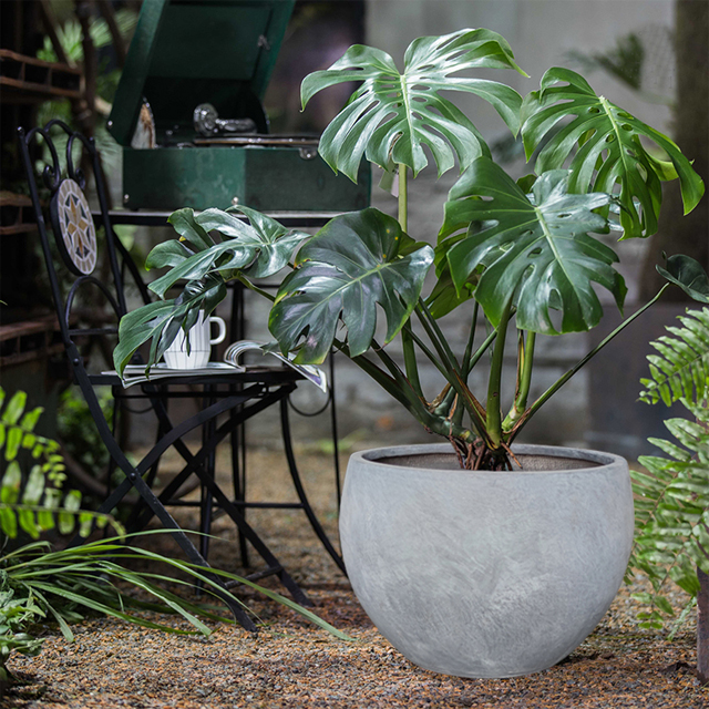 Flower Pots
