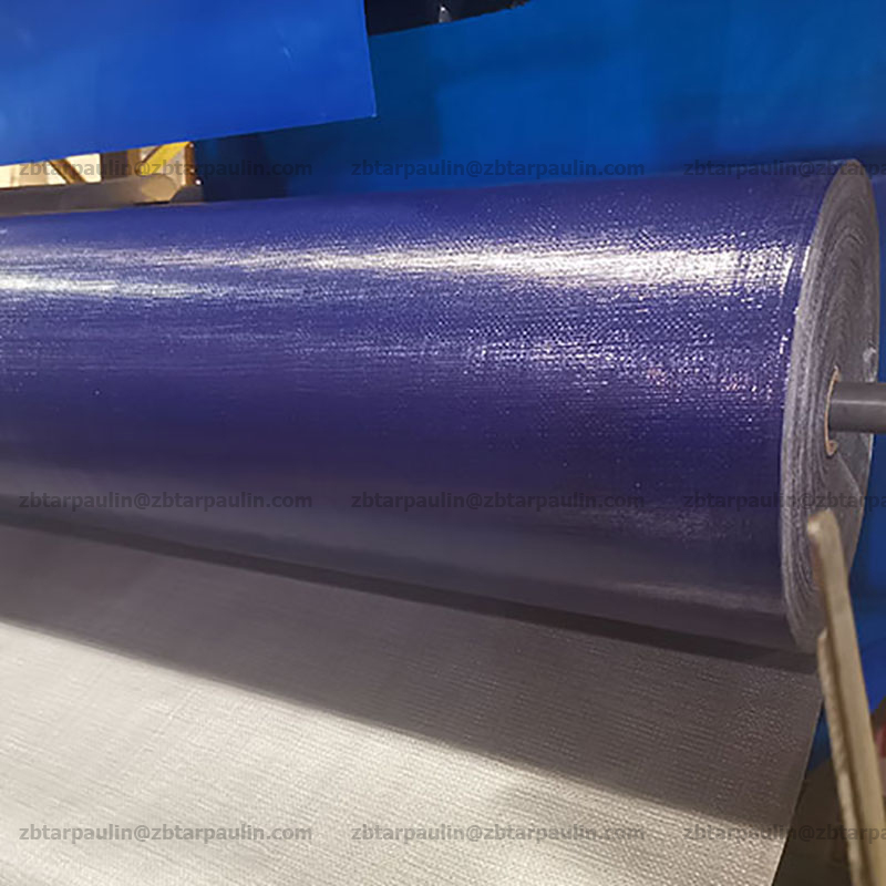 SHANDONG ZHENGBANG PLASTIC PRODUCTS CO.,LTD. – clavo de hierro 2