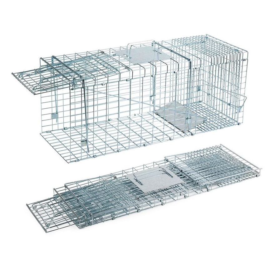 Galvanized Live Animal Trap Humane Live Animal Cage Trap for Cat, Squirrel, Possum