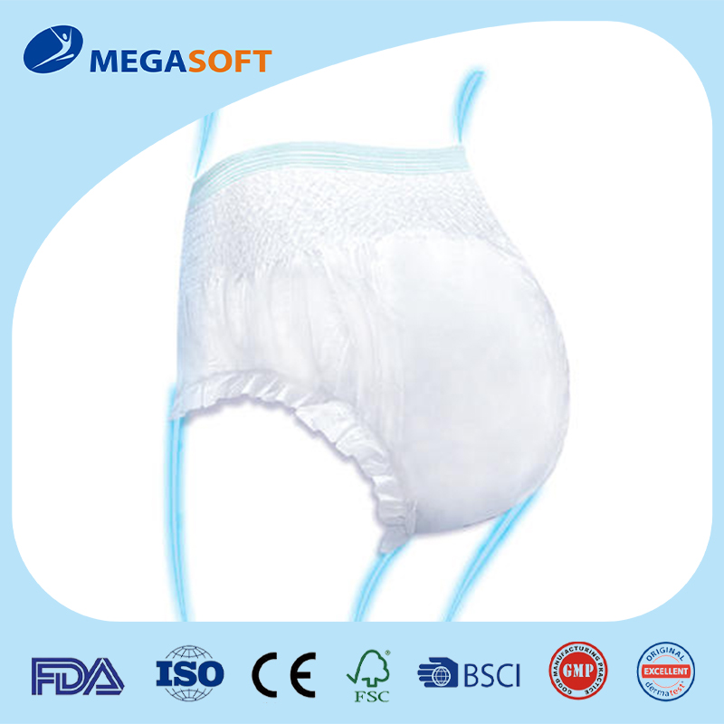 MEGASOFT (CHINA) CO.,LTD. – Other female health care products 4