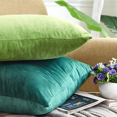 Cushion