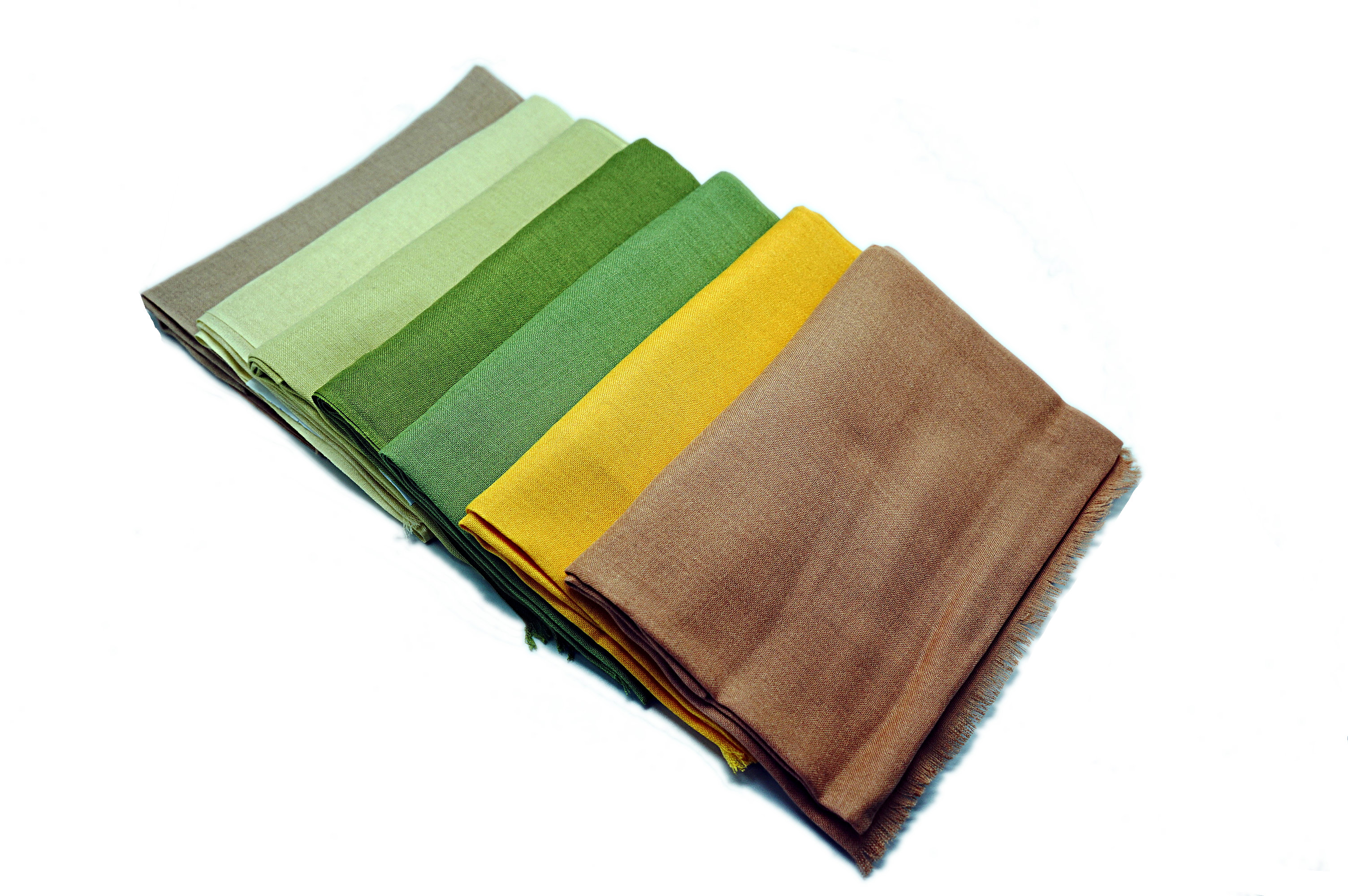 Pashmina Solid Shawl
