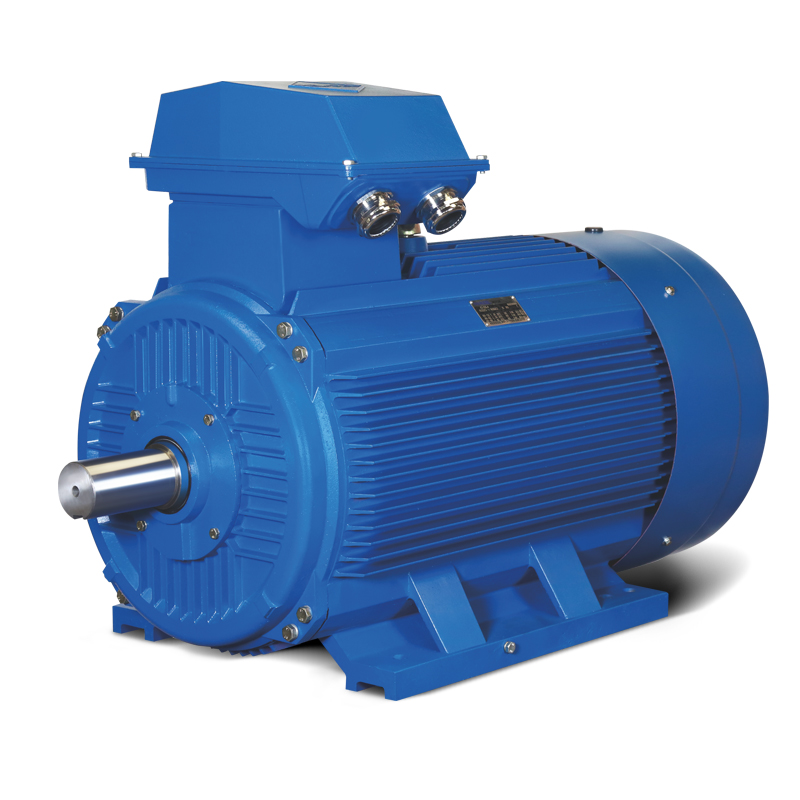 Ie3 Premium Efficiency Three-Phase Asynchronous Motor