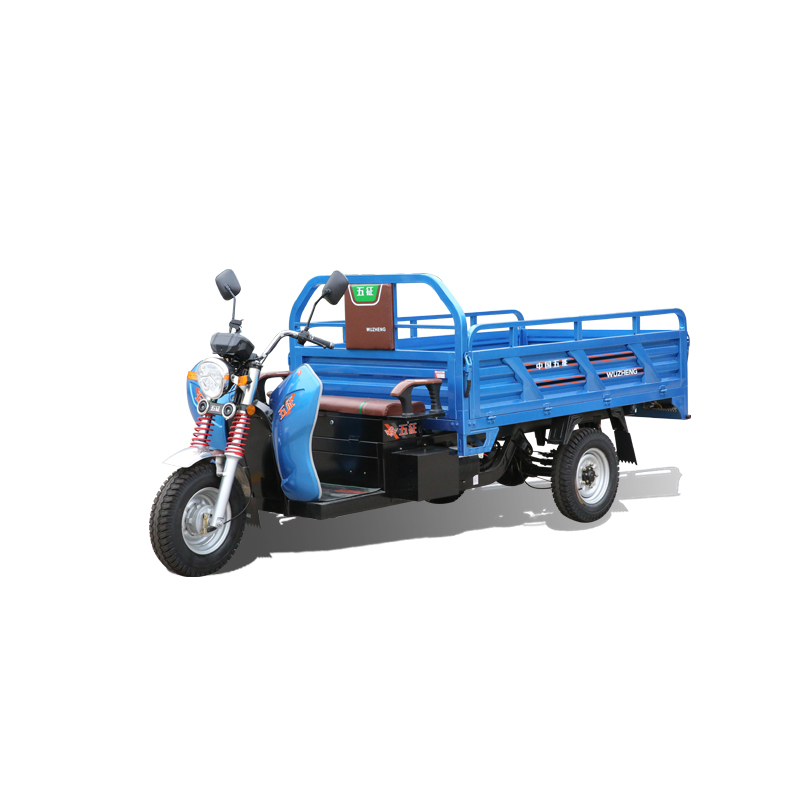 Electric tricycle