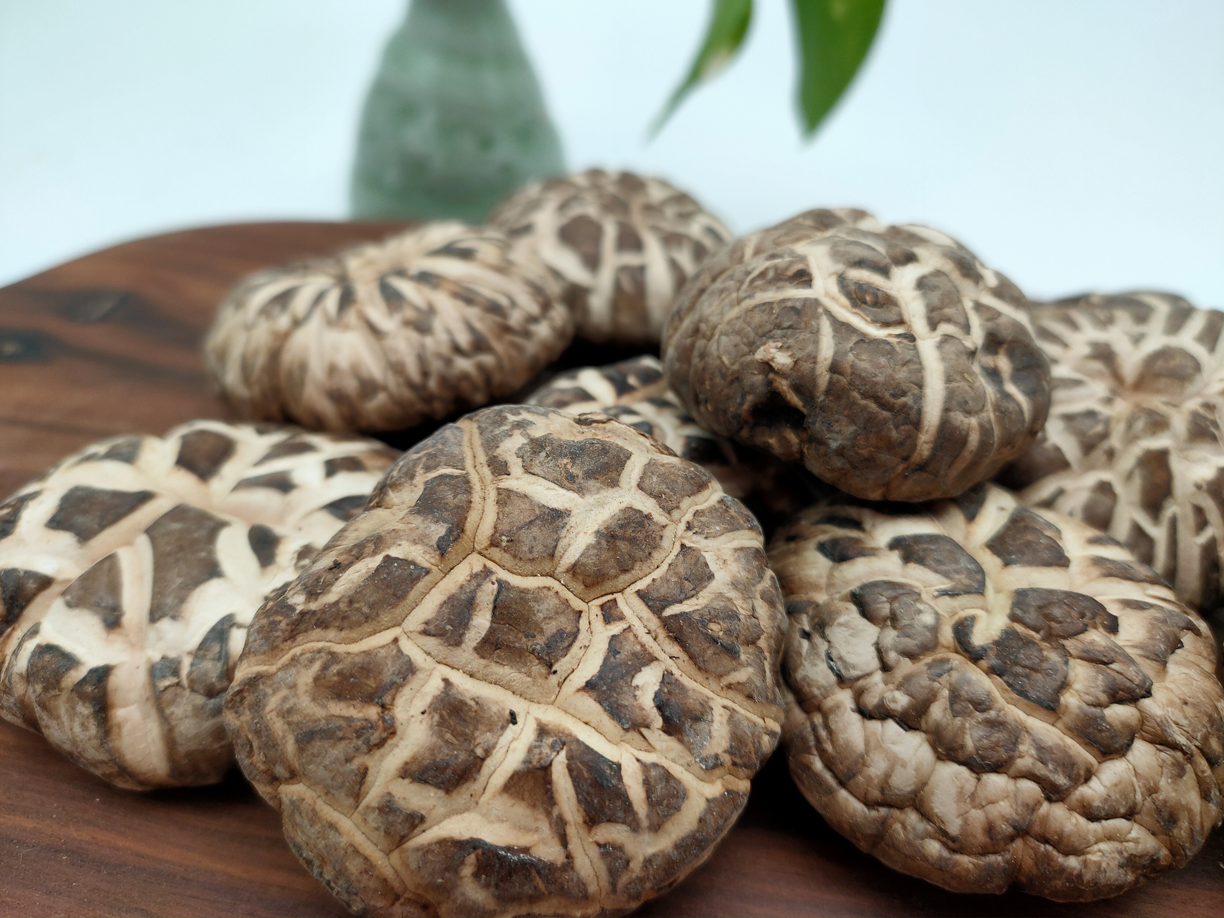Dried Mushroom