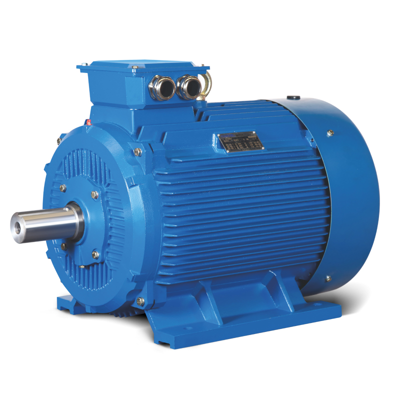 Ie1 Three-Phase Asynchronous Motor