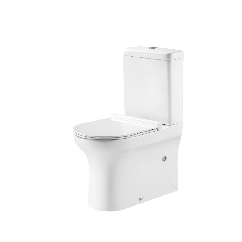 HDC665P+HDS628 HUIDA ARCHICOMPACT RIMLESS Washdown Two-piece Toilet-D Style