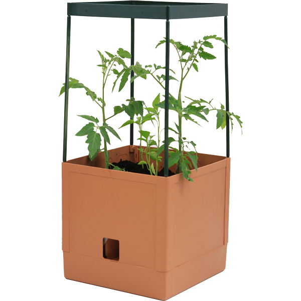 Flat Pack Tomato Tower Tapered Frame