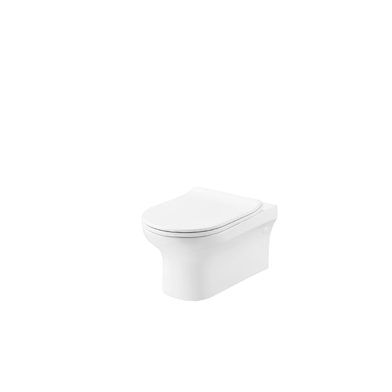 HDC620WH HUIDA ARCHIPRO RIMLESS Washdown Wall-hung Toilet-D Style