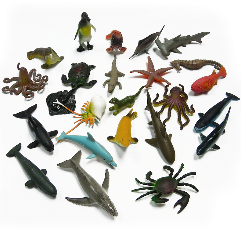 Sea Animals