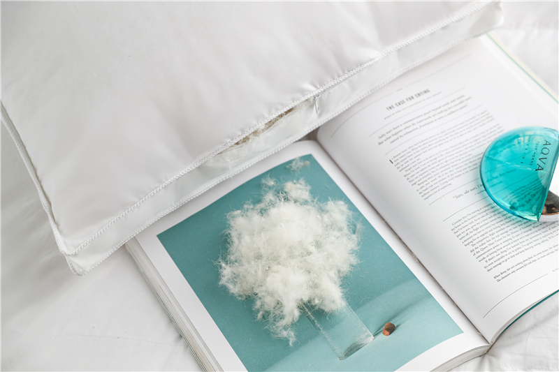 Hangzhou GaGa HomeTextiles Co.,Ltd – Down cushion 4