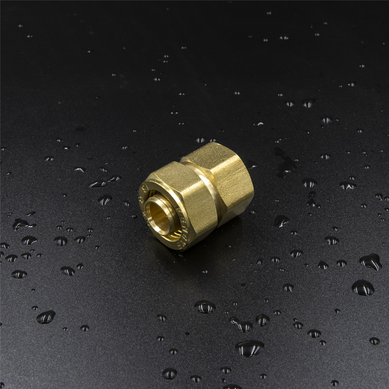 Brass Screw Fitting Female Straight Polished