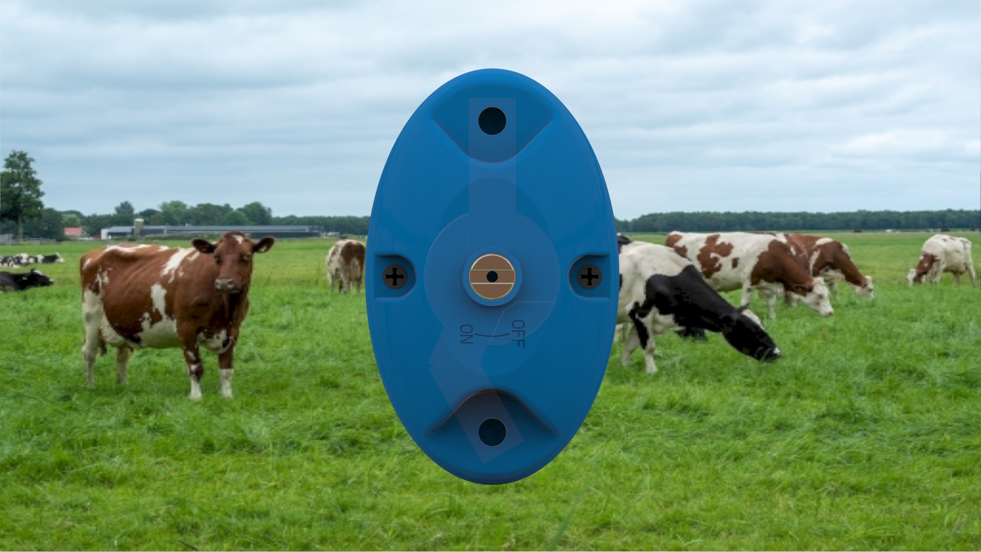 Lightning Arrestor