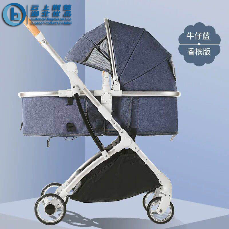 2 in 1 baby stroller