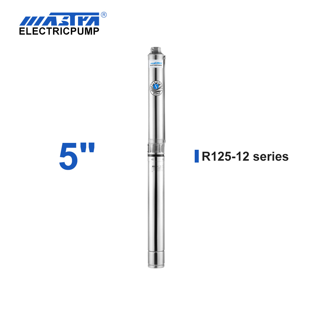 R125-12 submersible deep well pump