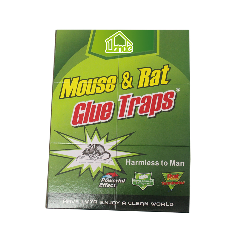 Best Mouse Sticky Paper Glue Trap
