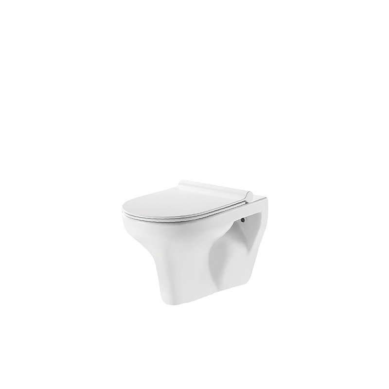 HDC667WH HUIDA ARCHILITE Washdown Wall-hung Toilet-D Style