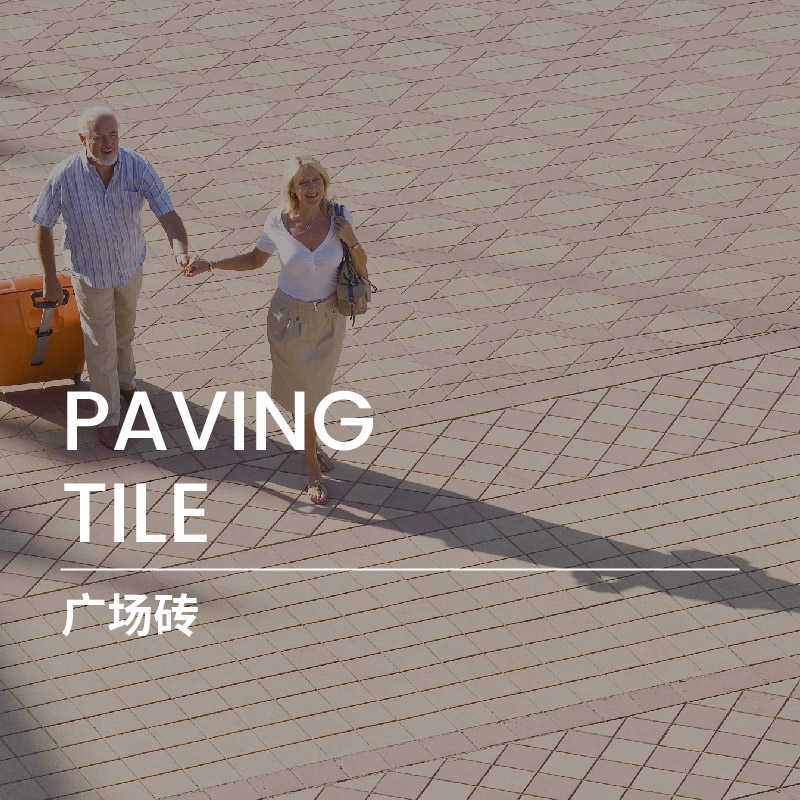 Winto Paving Tile