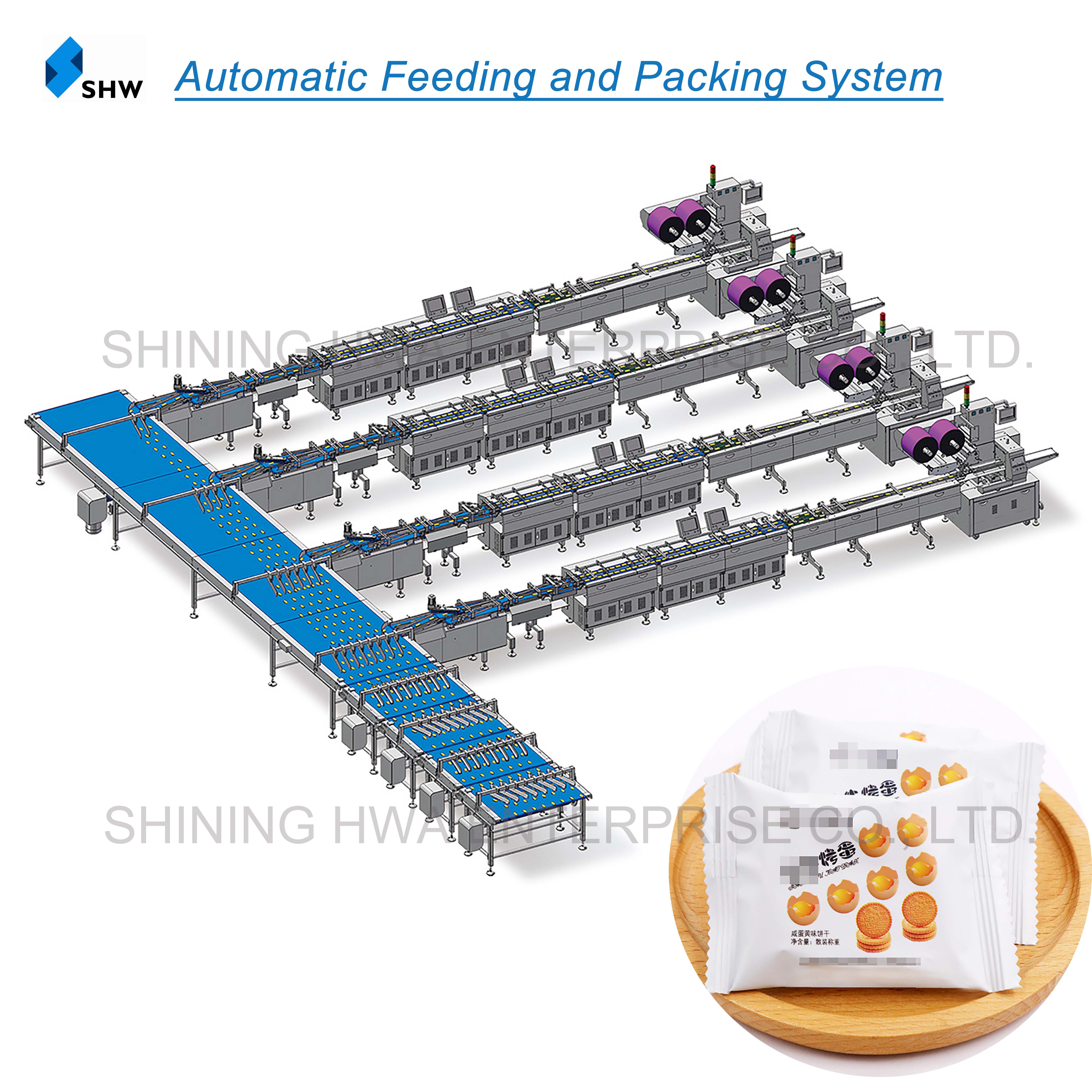 Automatic Feeding and Packing System