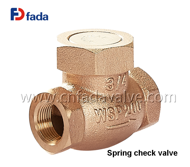 Bronze Spring Check Valve