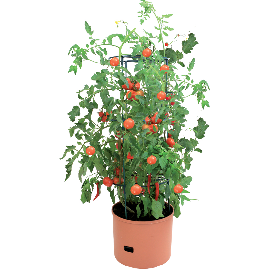 Jumbo Growing Tower