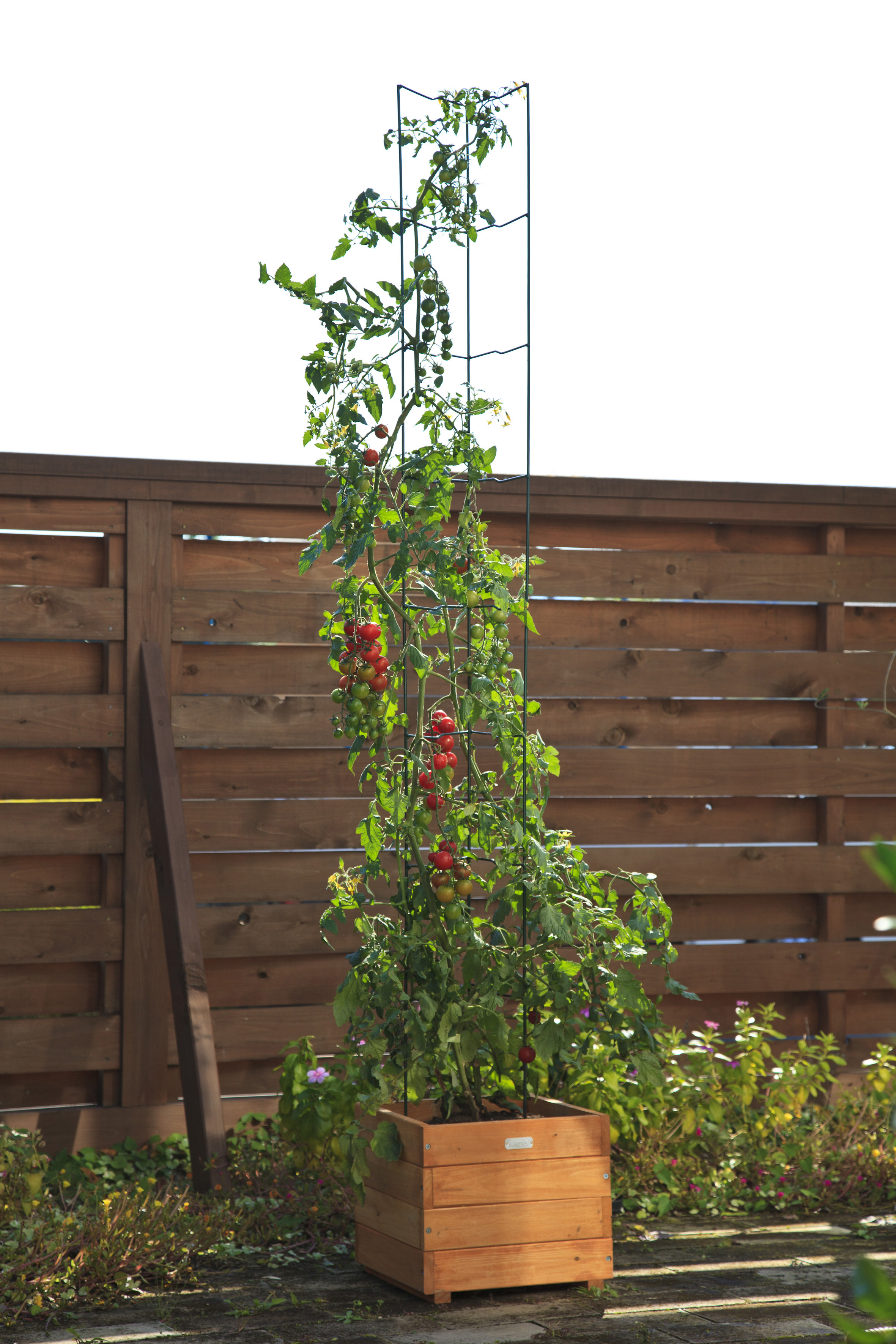 Wood-Deco planter 300