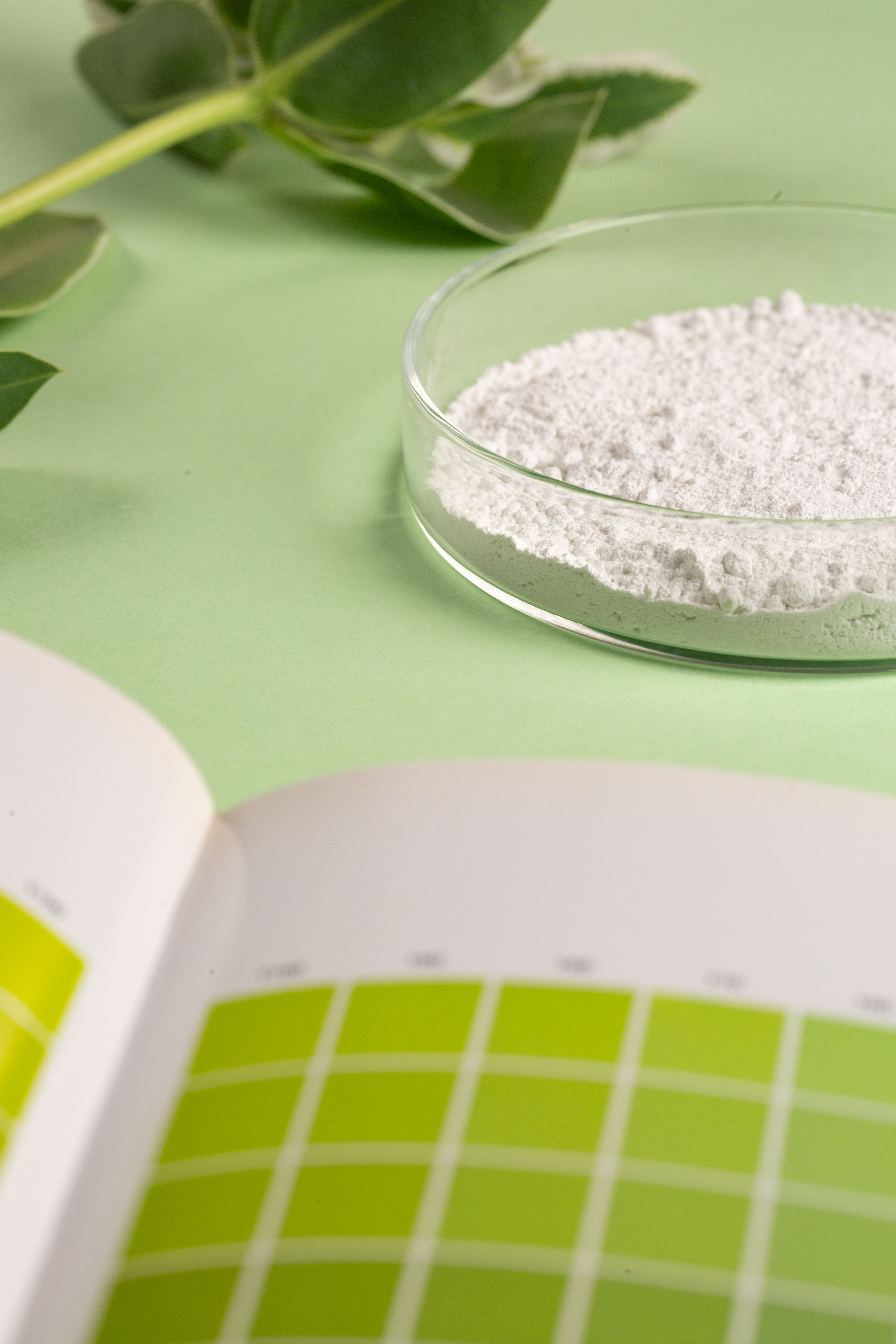 Sodium Carbonate (Soda Ash)
