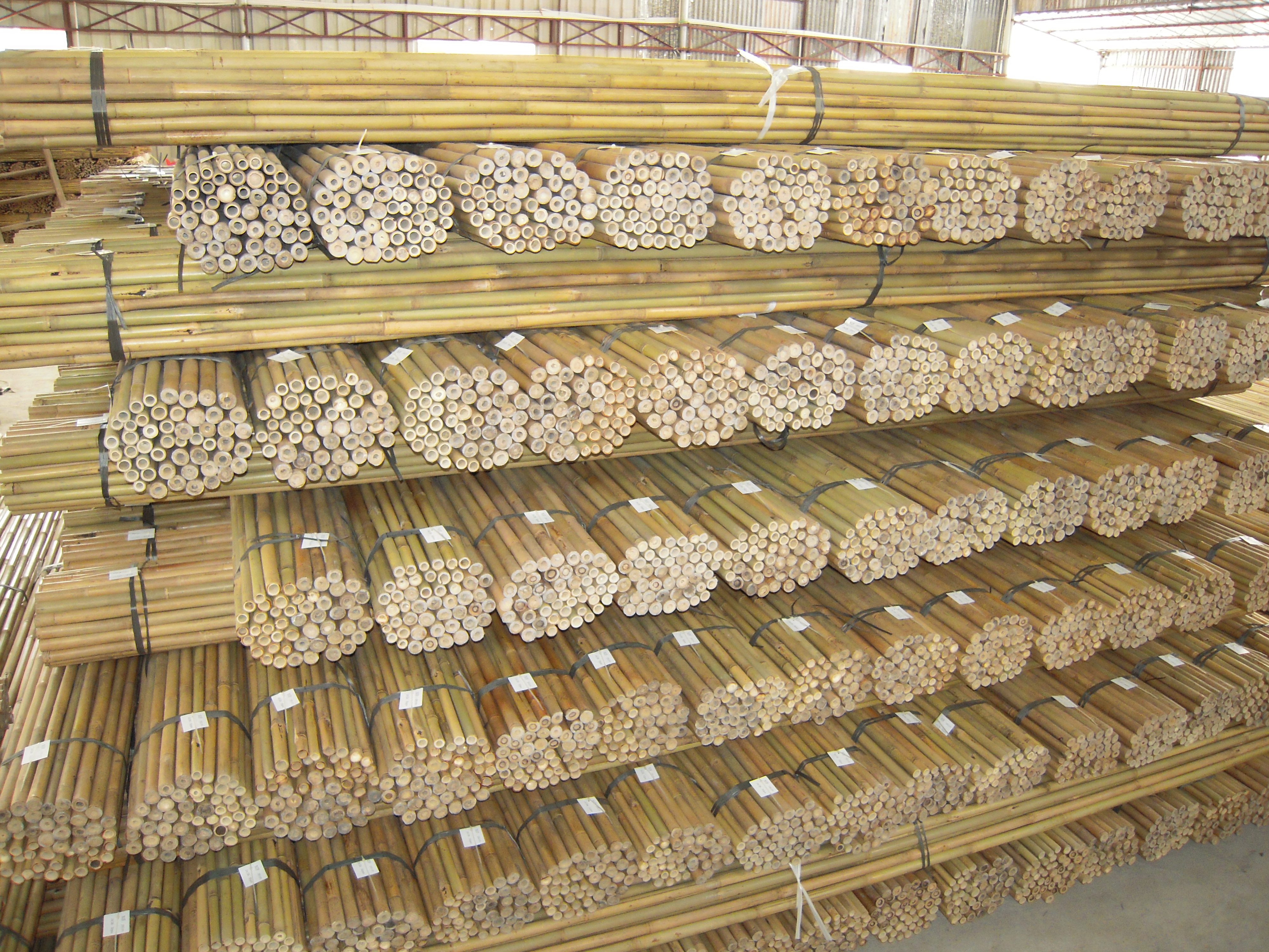 Bamboo Stakes