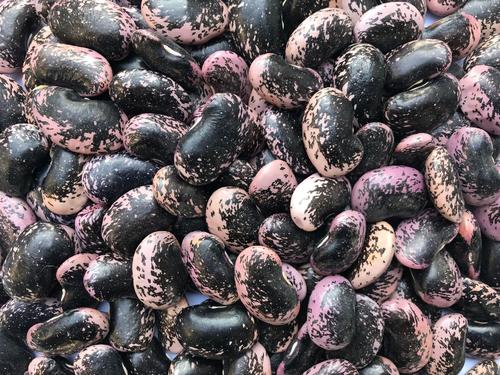 Black Speckled Kidney Beans