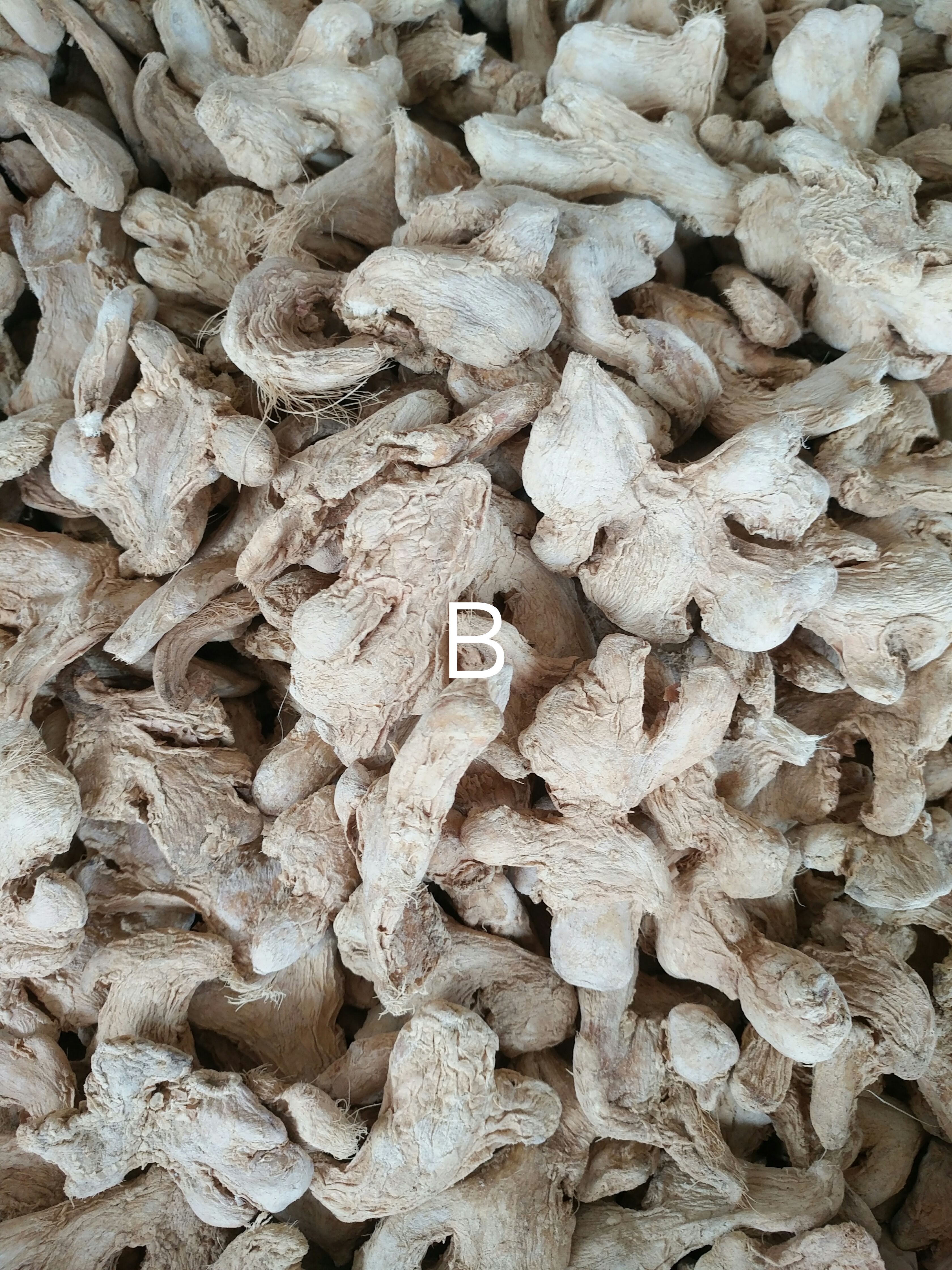 Dried Ginger