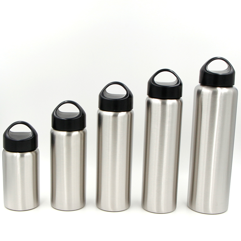 Stainless Steel Water Bottle
