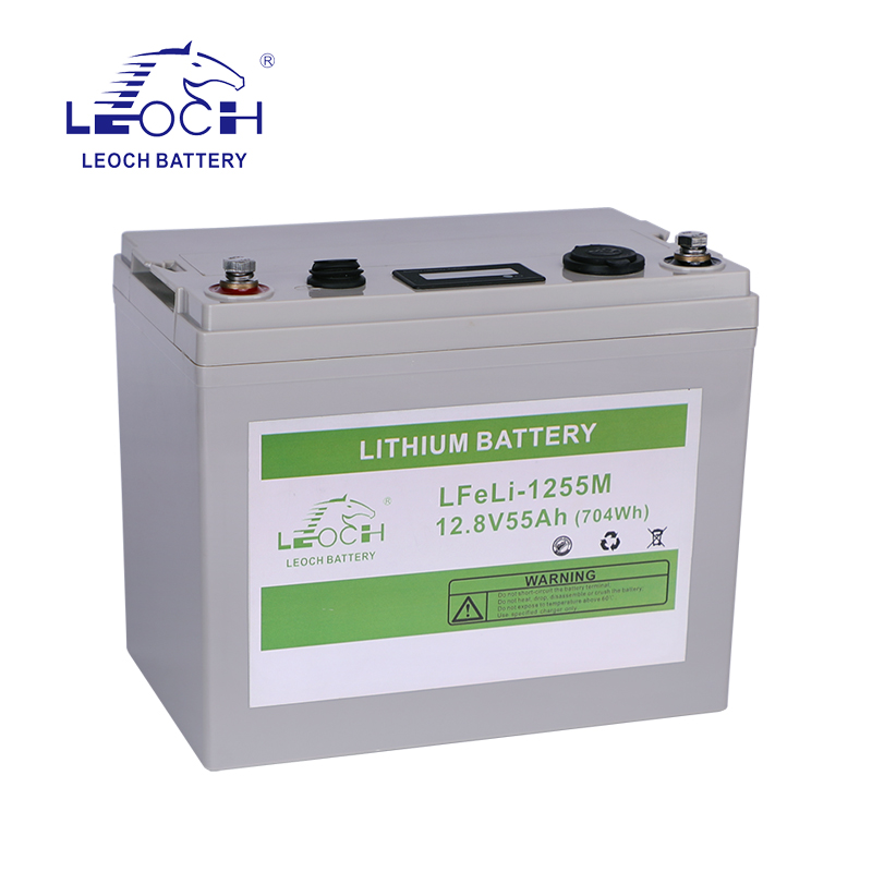 Lithium Battery LFeLi-1255M
